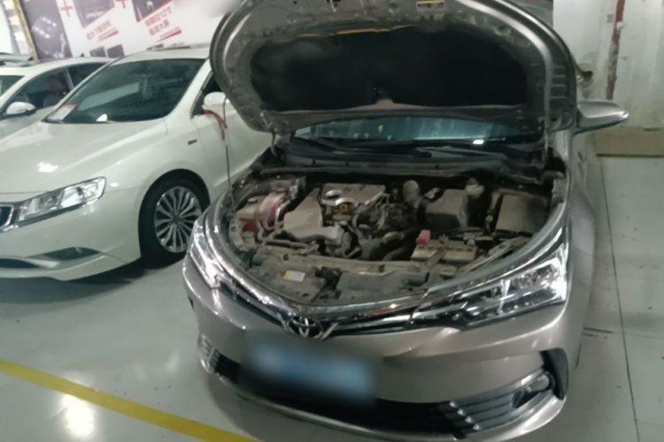 Toyota Corolla 2019 #20 Toyota Corolla 2019 car image #20