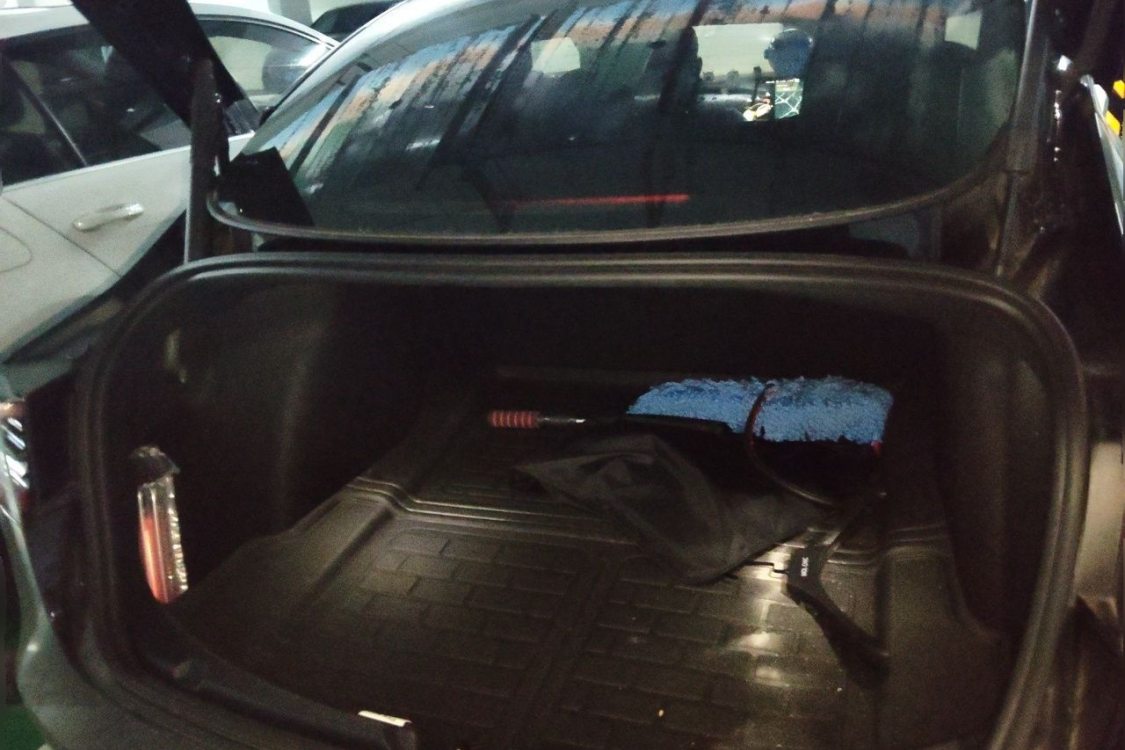 Tesla Model 3 2021 immagine di auto #8
