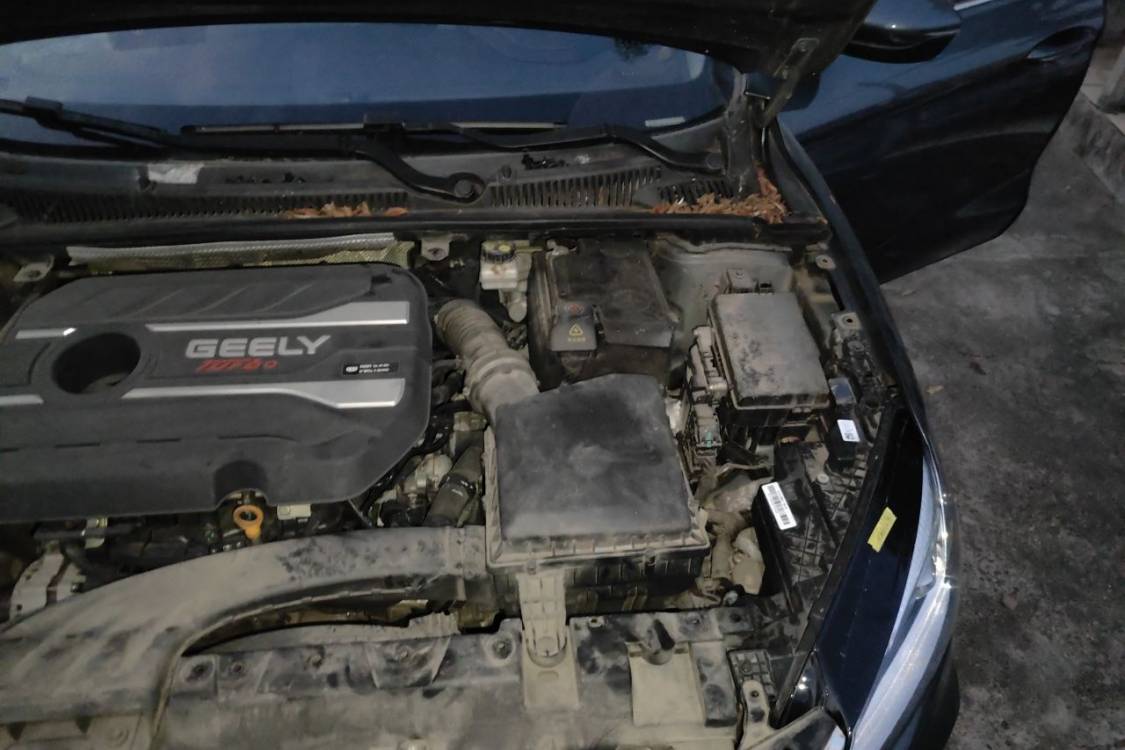 GEELY Binray 2018 #12 GEELY Binray 2018 image de voiture #12