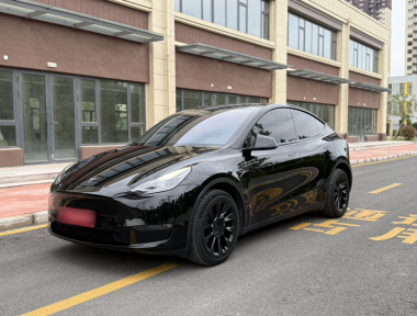 Tesla Model Y 2022 car image 