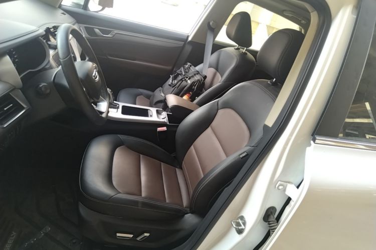 GEELY Emgrand GS 2020 #15 GEELY Emgrand GS 2020 car image #15