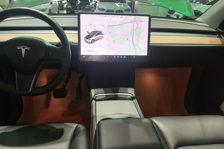 Tesla Model Y 2021 #13 Tesla Model Y 2021 car image #13