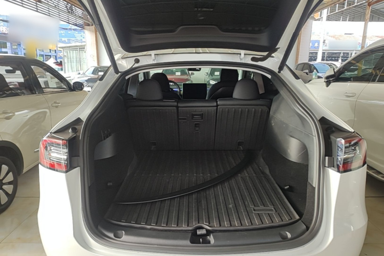 Tesla Model Y 2021 car image #19
