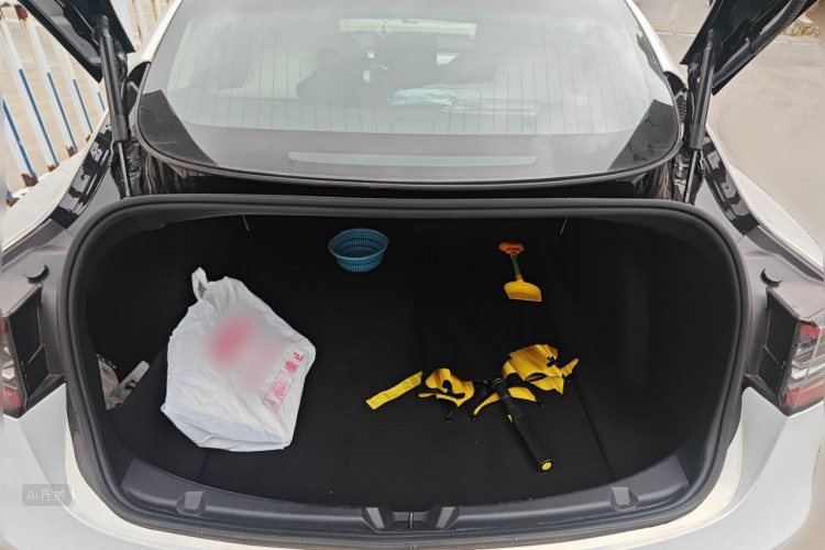 Tesla Model 3 2020 car image #21