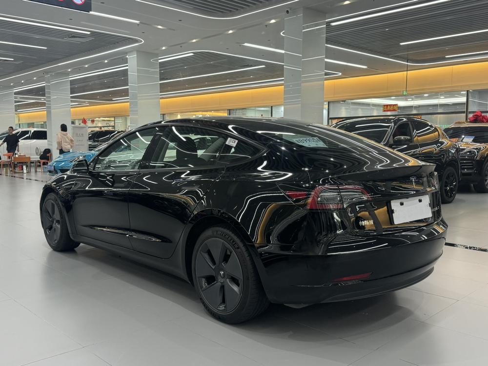 Tesla Model 3 2021 car image #4