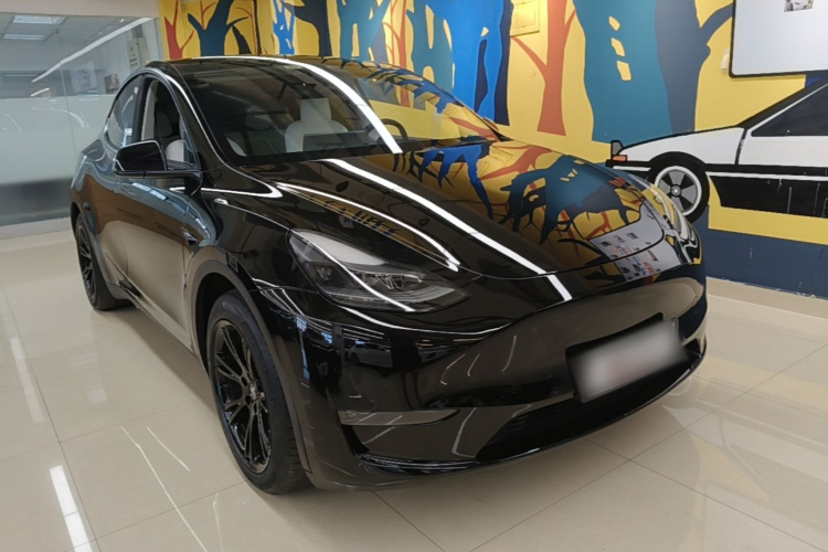 Tesla Model Y 2021 #4 Tesla Model Y 2021 car image #4