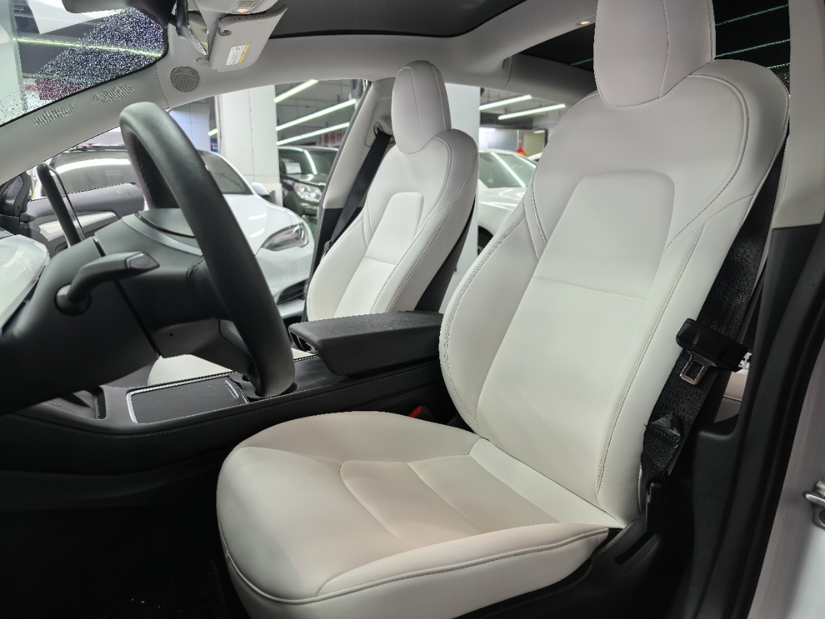 Tesla Model 3 2022 #5 Tesla Model 3 2022 car image #5