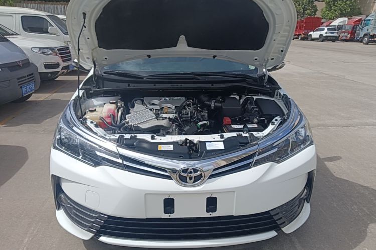 Toyota Corolla 2019 #20 Toyota Corolla 2019 car image #20
