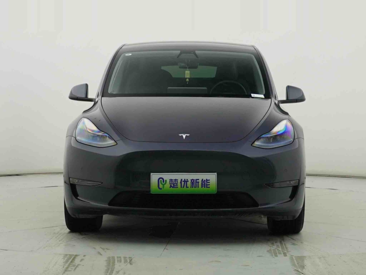 Tesla Model Y 2021 #2 Tesla Model Y 2021 car image #2