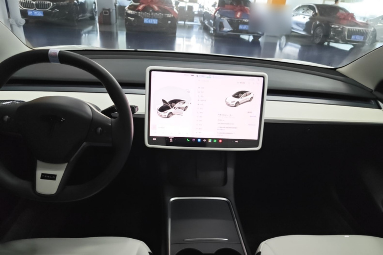 Tesla Model 3 2021 #10 Tesla Model 3 2021 immagine di auto #10
