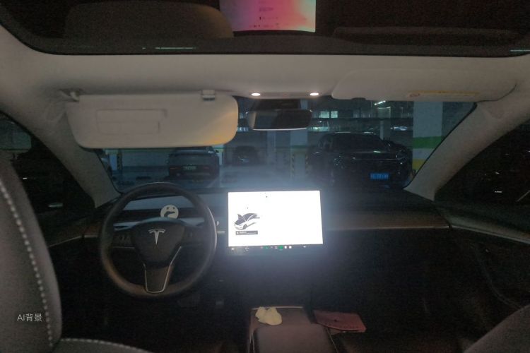 Tesla Model 3 2023 car image #20