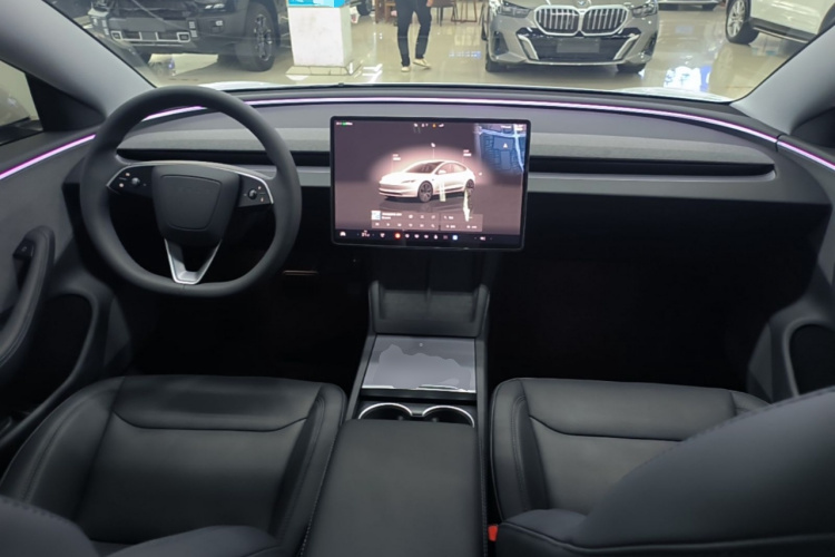 Tesla Model 3 2024 immagine di auto #10