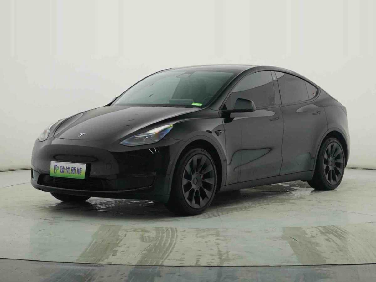 Tesla Model Y 2021 #2 Tesla Model Y 2021 car image #2