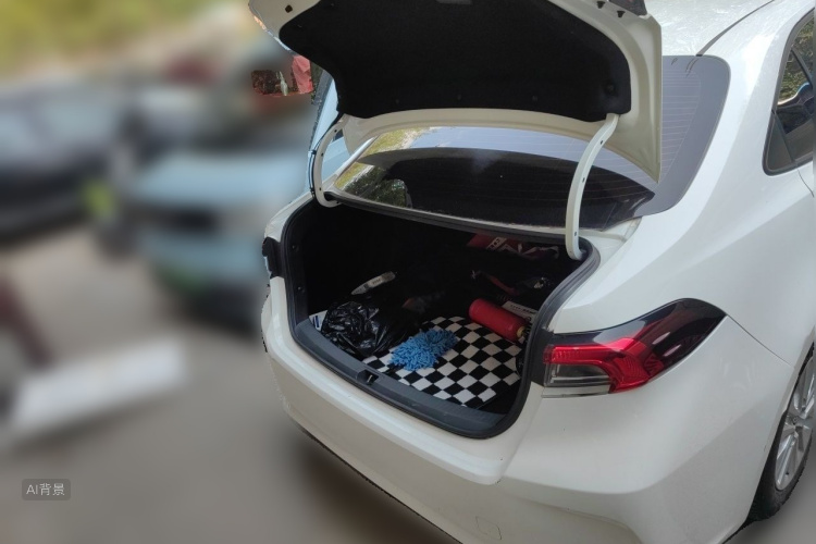 Toyota Corolla 2019 #21 Toyota Corolla 2019 car image #21