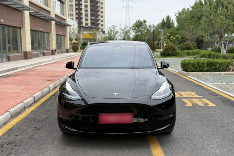 Tesla Model Y 2022 car image #10