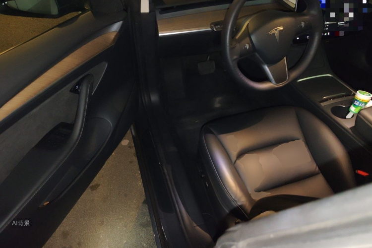 Tesla Model 3 2021 car image #18