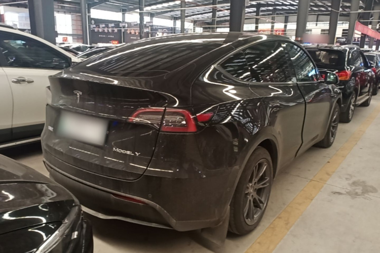 Tesla Model Y 2023 #7 Tesla Model Y 2023 car image #7