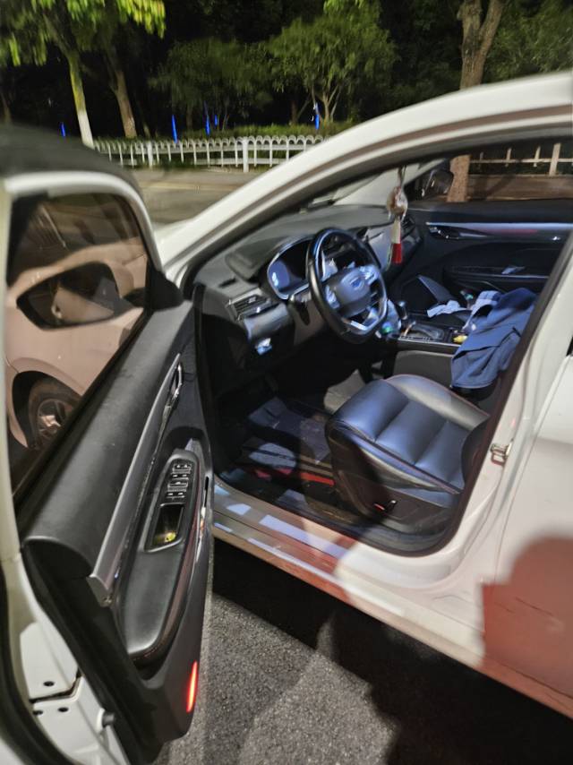 GEELY Binray 2019 immagine di auto #4