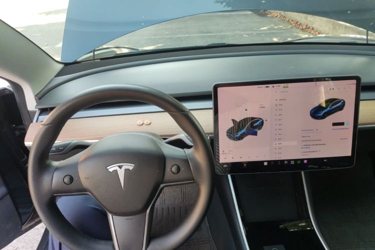 Tesla Model 3 2020 car image #10