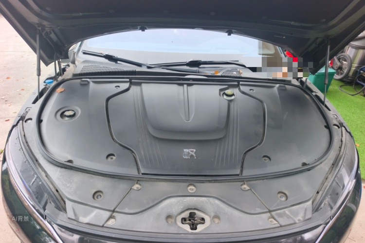 BYD Han 2022 صورة سيارة #22