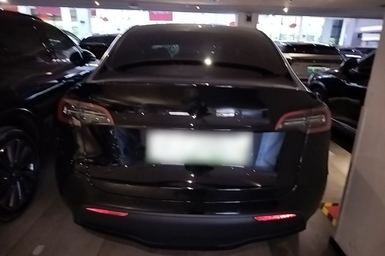 Tesla Model Y 2023 #6 Tesla Model Y 2023 car image #6