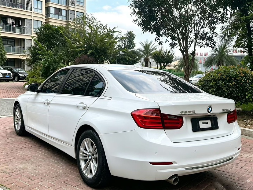 BMW 3 Series 2013 car image #5