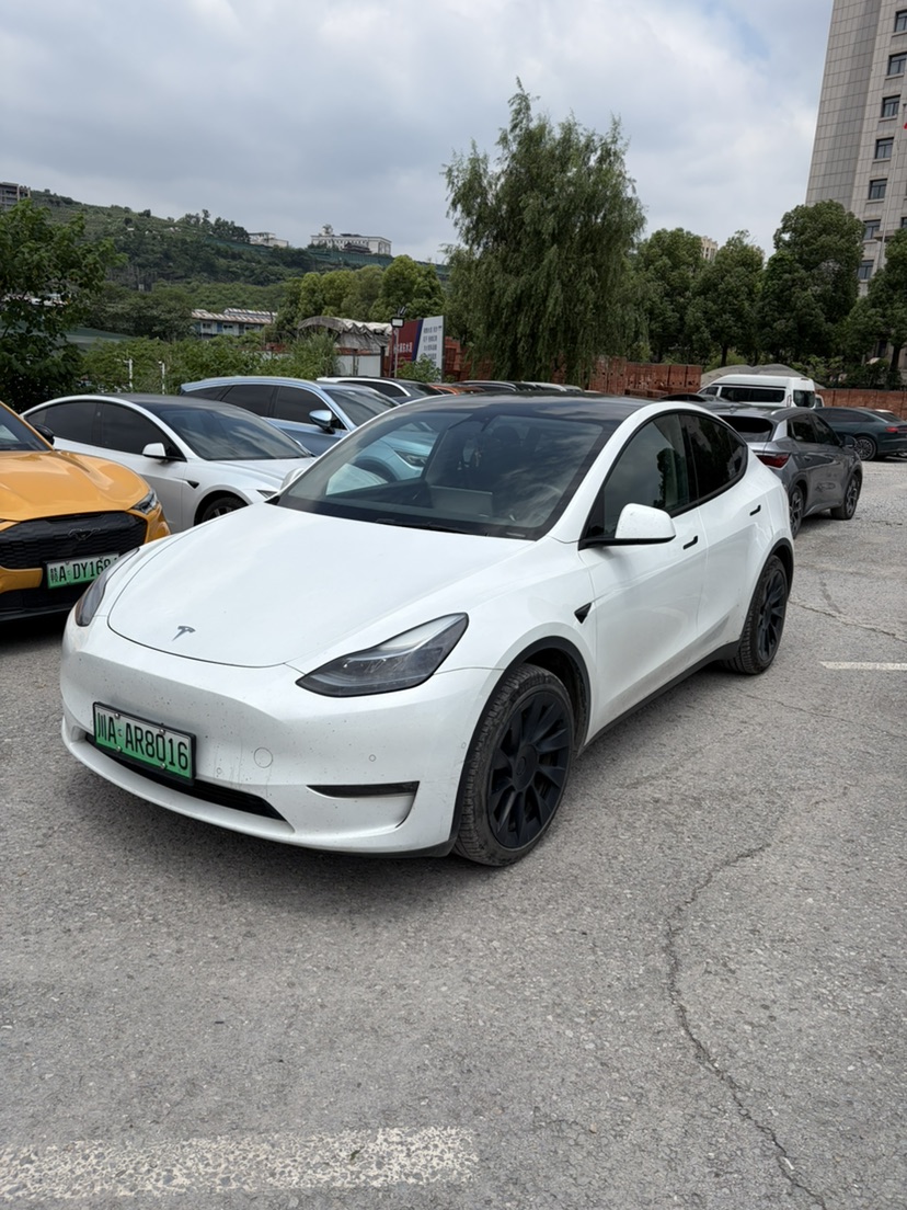 Tesla Model Y 2023 Tesla Model Y 2023 immagine di auto