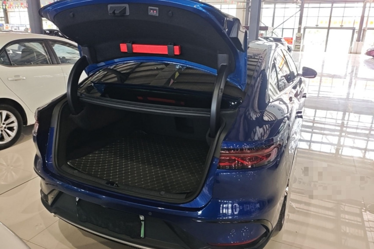 BYD Han 2022 car image #19