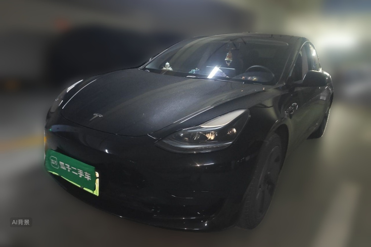 Tesla Model 3 2023 #2 Tesla Model 3 2023 car image #2
