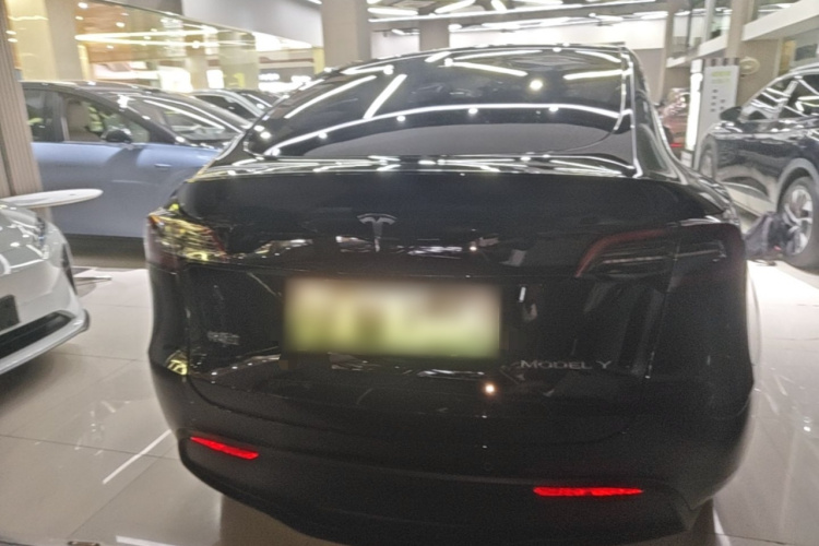 Tesla Model Y 2021 #6 Tesla Model Y 2021 car image #6