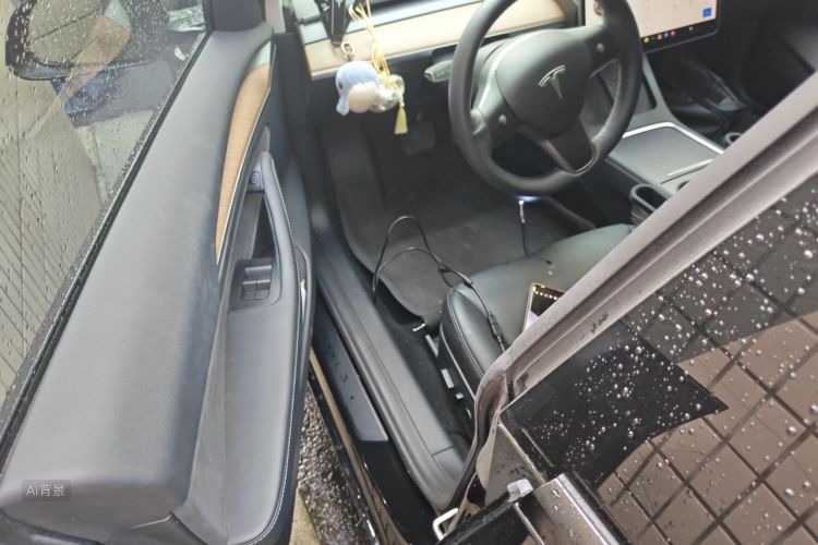 Tesla Model 3 2021 #18 Tesla Model 3 2021 immagine di auto #18
