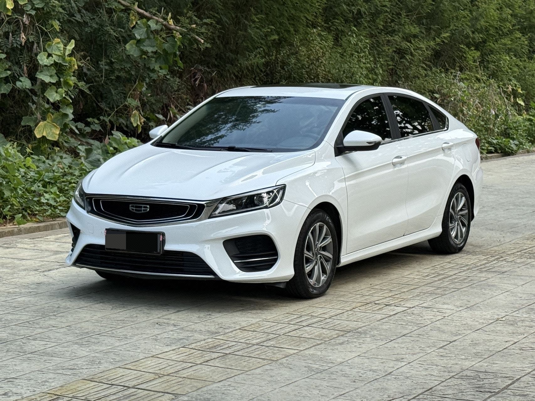 GEELY Binray 2019 immagine di auto 