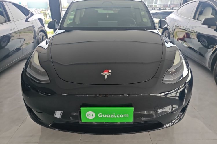 Tesla Model Y 2023 #3 Tesla Model Y 2023 car image #3