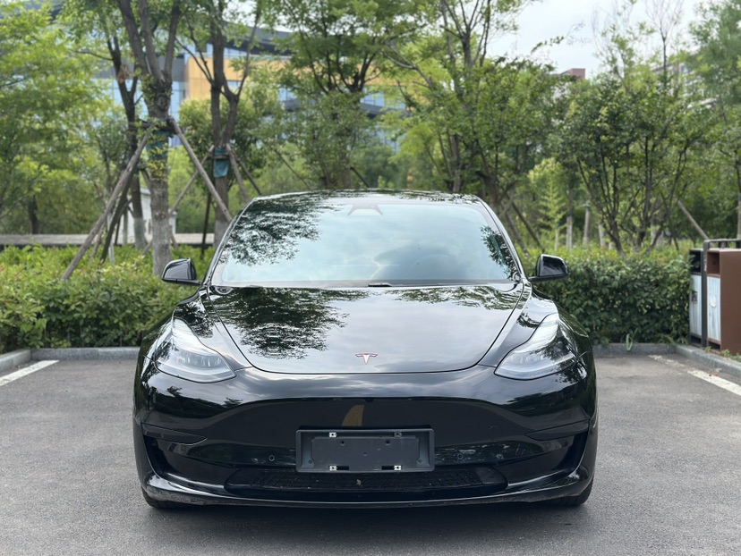 Tesla Model 3 2021 car image #2