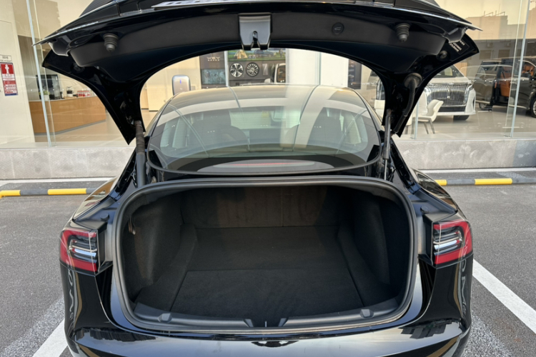 Tesla Model 3 2022 car image #5