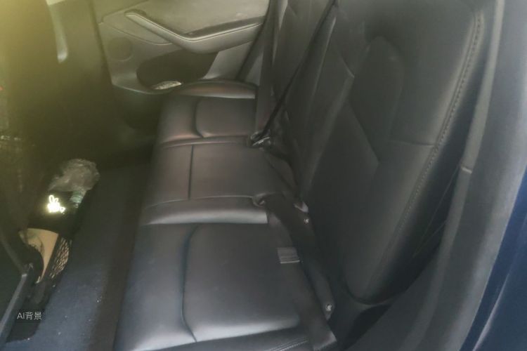 Tesla Model Y 2021 car image #19