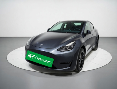 Tesla Model Y 2024 Tesla Model Y 2024 car image