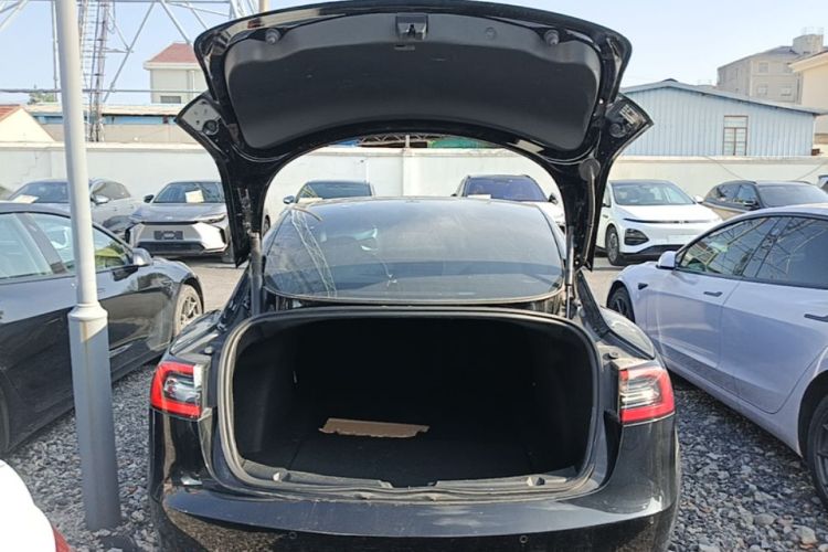 Tesla Model 3 2022 #19 Tesla Model 3 2022 car image #19