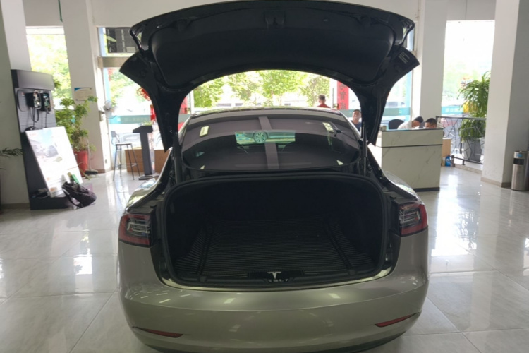Tesla Model 3 2021 #19 Tesla Model 3 2021 car image #19