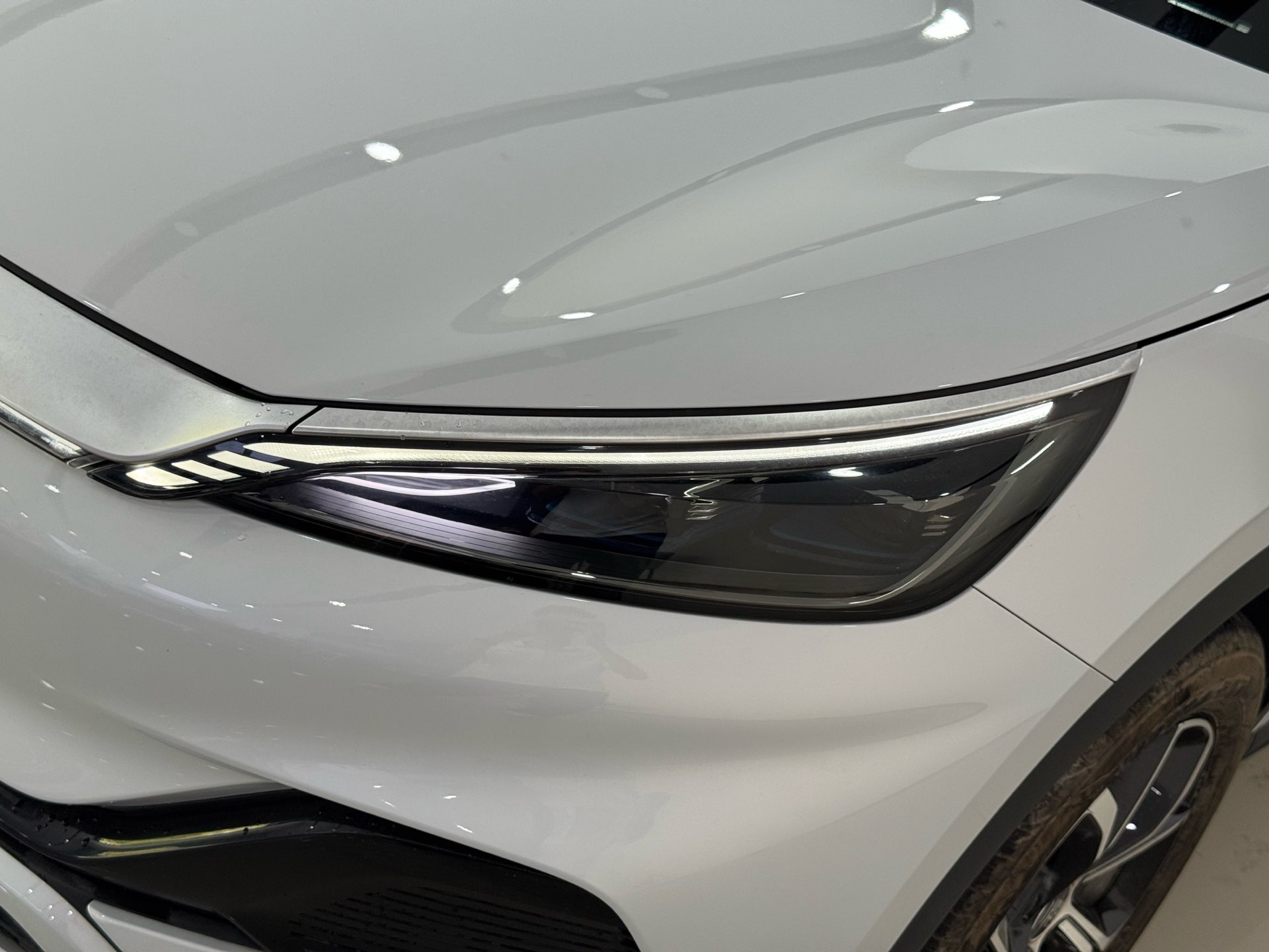 BYD Yuan Plus 2024 صورة سيارة #3
