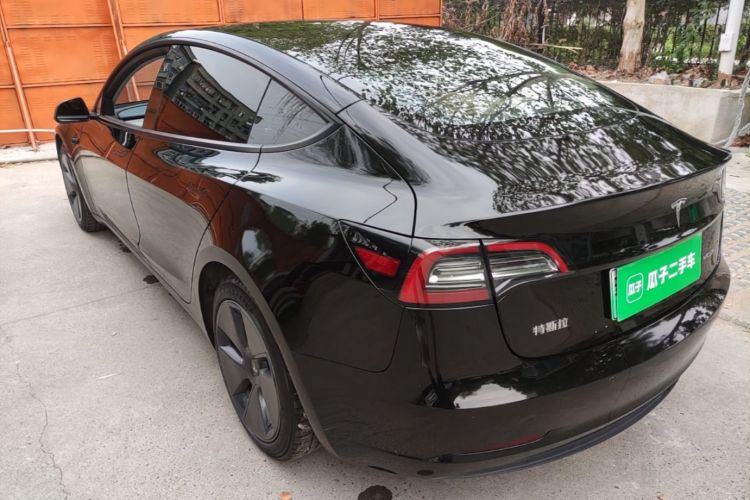 Tesla Model 3 2021 imagem de carro #7