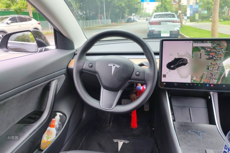 Tesla Model 3 2020 immagine di auto #12