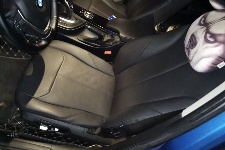 BMW 3 Series 2017 car image #17