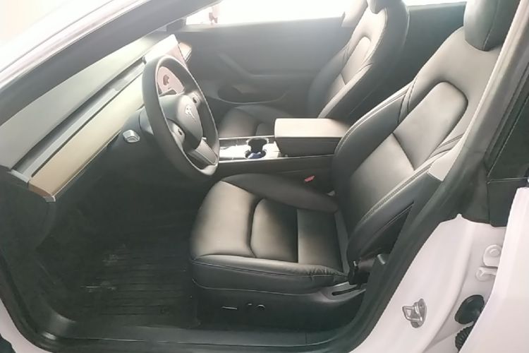 Tesla Model 3 2020 #15 Tesla Model 3 2020 car image #15