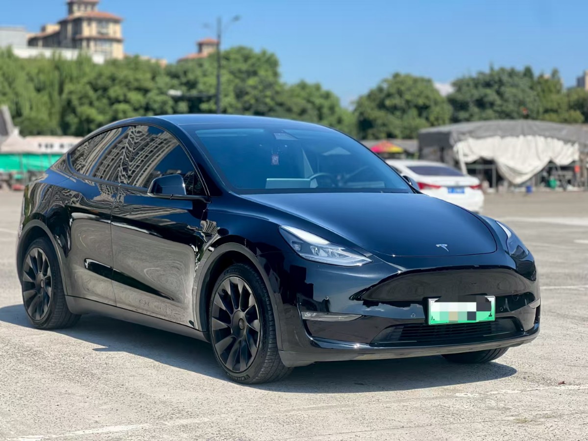 Tesla Model Y 2021 #3 Tesla Model Y 2021 car image #3