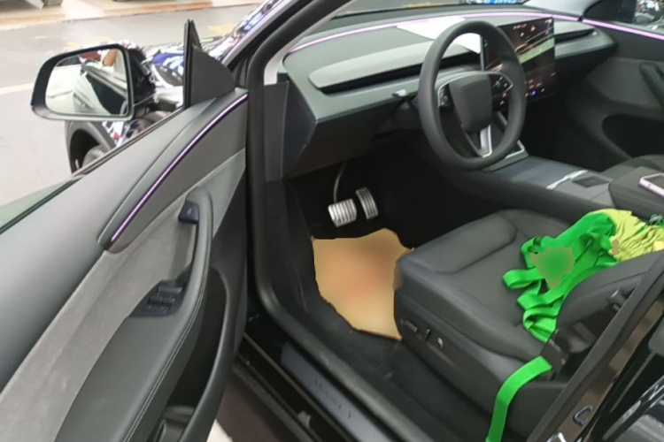 Tesla Model Y 2025 car image #16