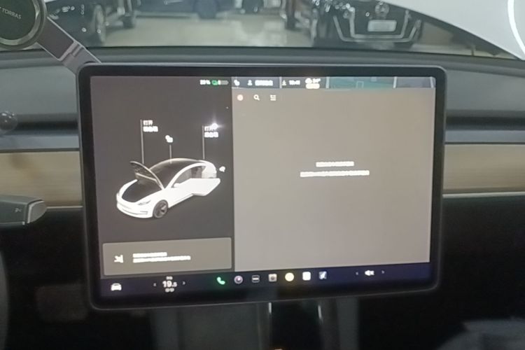 Tesla Model 3 2021 #13 Tesla Model 3 2021 car image #13