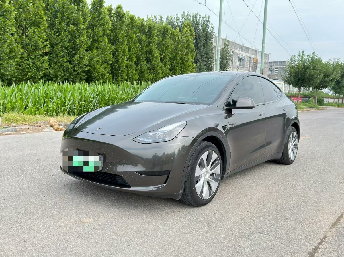 Tesla Model Y 2022 car image 