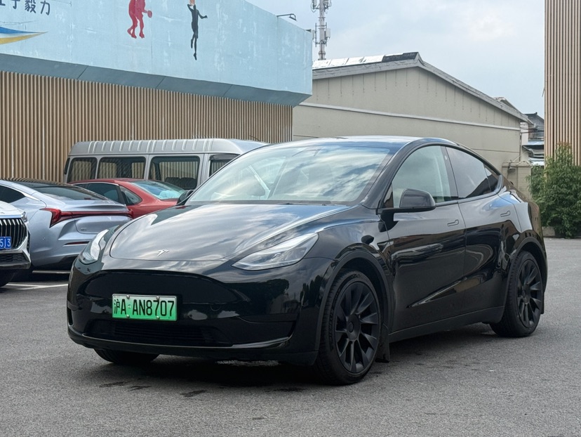 Tesla Model Y 2022 Tesla Model Y 2022 car image