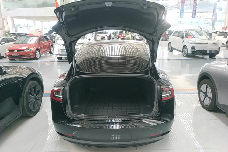 Tesla Model 3 2020 #21 Tesla Model 3 2020 car image #21